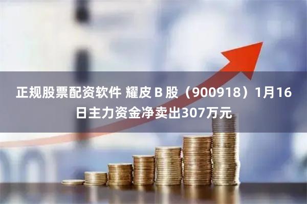 正规股票配资软件 耀皮Ｂ股（900918）1月16日主力资金净卖出307万元